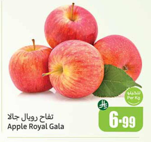 Apple available at Othaim Markets in KSA, Saudi Arabia, Saudi - Hail