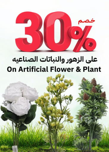 available at أسواق أسترا in مملكة العربية السعودية, السعودية, سعودية - تبوك