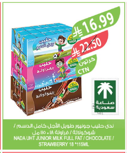 Strawberry available at المزرعة in مملكة العربية السعودية, السعودية, سعودية - القطيف‎