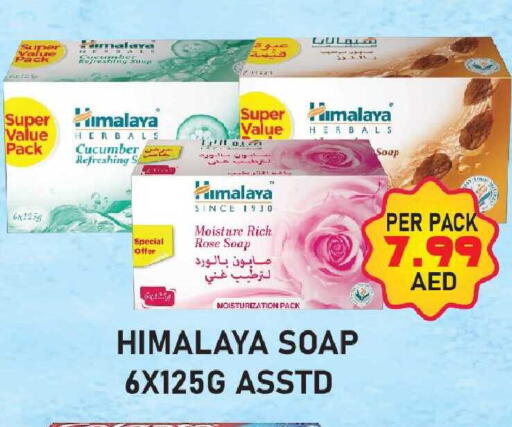 Cucumber available at بلس مارت in الإمارات العربية المتحدة , الامارات - دبي