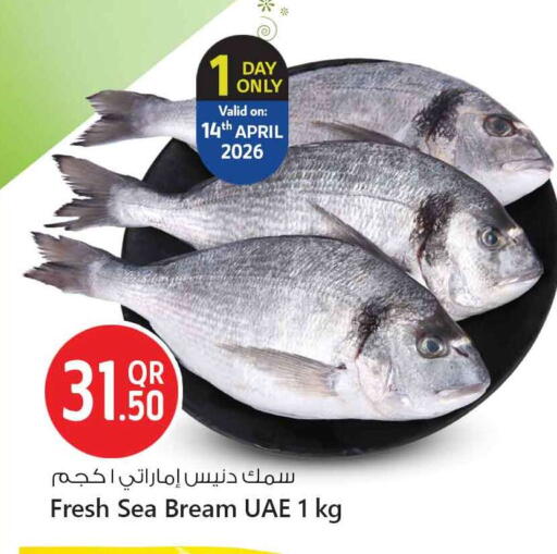 available at Safari Hypermarket in Qatar - Doha