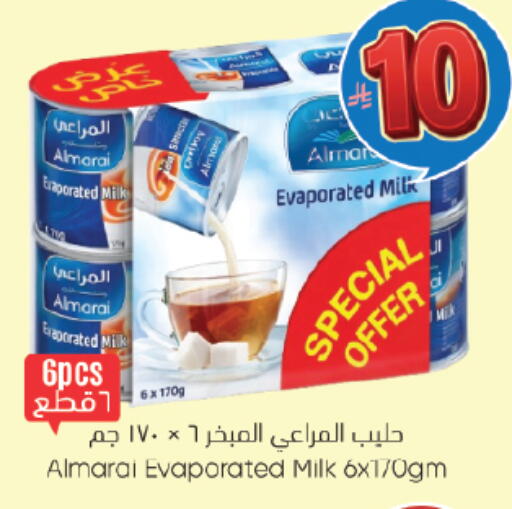 available at City Flower in KSA, Saudi Arabia, Saudi - Sakaka