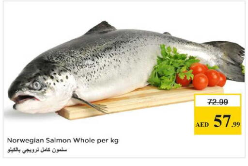 available at نستو هايبرماركت in الإمارات العربية المتحدة , الامارات - الشارقة / عجمان