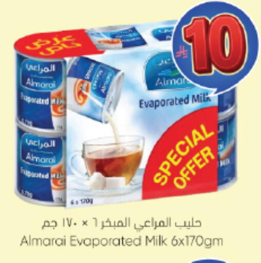 available at City Flower in KSA, Saudi Arabia, Saudi - Jubail
