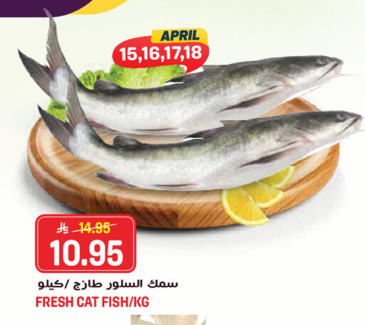 available at جراند هايبر in مملكة العربية السعودية, السعودية, سعودية - جدة