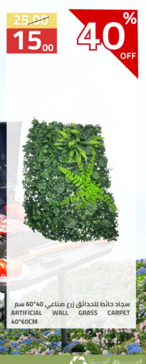 available at أسواق أسترا in مملكة العربية السعودية, السعودية, سعودية - تبوك