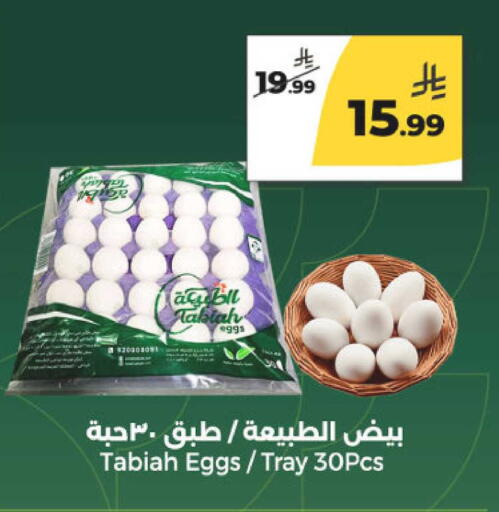 available at  دانة طازج يوميا in مملكة العربية السعودية, السعودية, سعودية - الرياض
