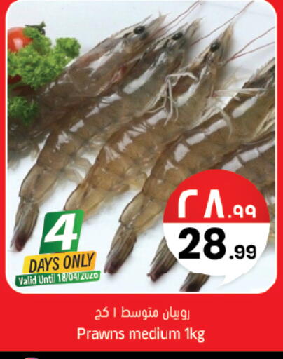 available at City Flower in KSA, Saudi Arabia, Saudi - Hail