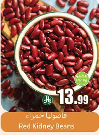 available at أسواق عبد الله العثيم in مملكة العربية السعودية, السعودية, سعودية - الخبر‎