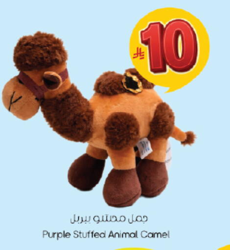 available at City Flower in KSA, Saudi Arabia, Saudi - Riyadh