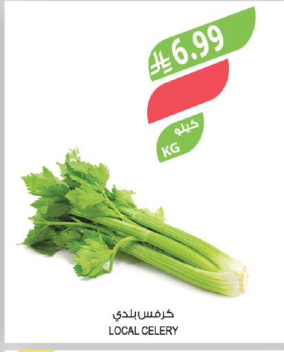 Celery available at Farm  in KSA, Saudi Arabia, Saudi - Sakaka