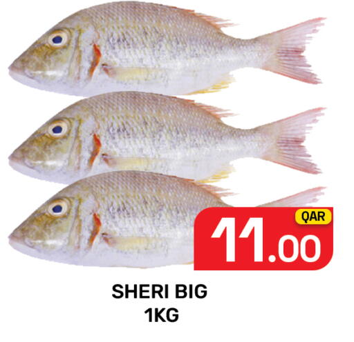 available at Majlis Hypermarket in Qatar - Doha