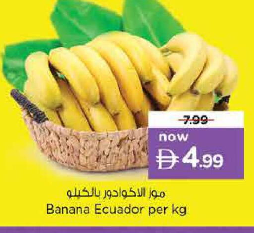 Banana from Ecuador available at Nesto Hypermarket in UAE - Sharjah / Ajman