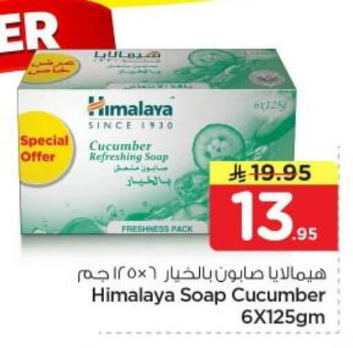 Cucumber available at نستو in مملكة العربية السعودية, السعودية, سعودية - الرياض