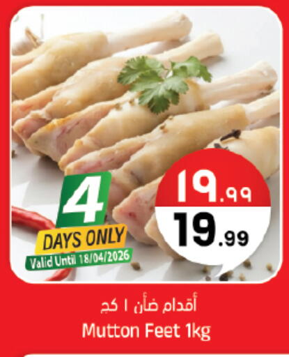 available at ستي فلاور in مملكة العربية السعودية, السعودية, سعودية - سكاكا