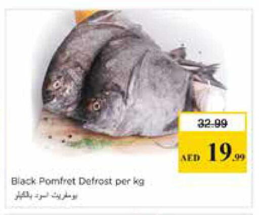 available at نستو هايبرماركت in الإمارات العربية المتحدة , الامارات - الشارقة / عجمان