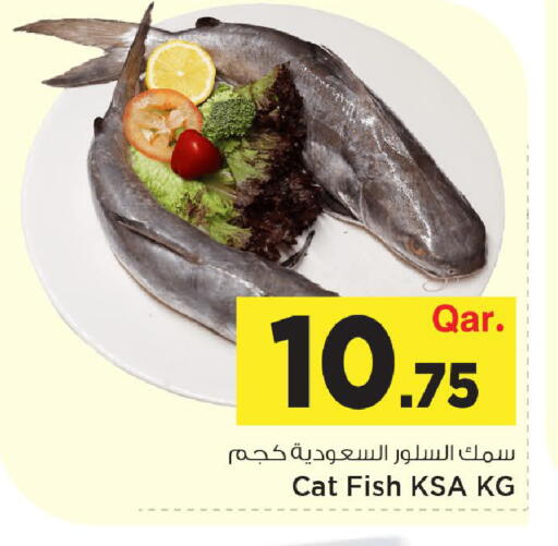available at Mark & Save  in Qatar - Doha