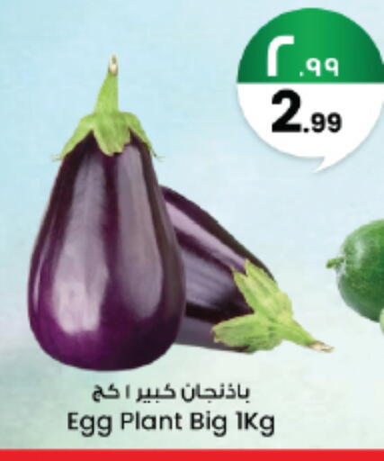 available at City Flower in KSA, Saudi Arabia, Saudi - Jubail