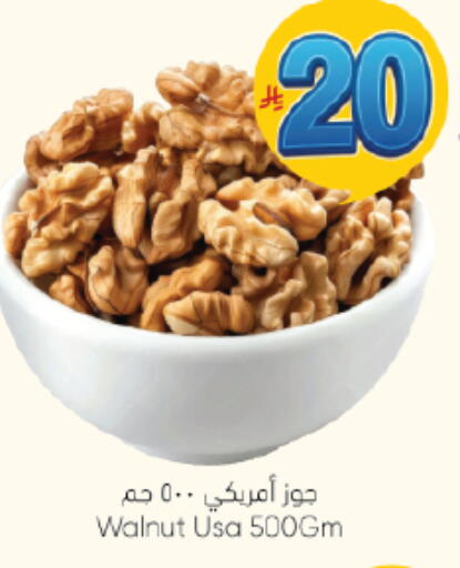 available at ستي فلاور in مملكة العربية السعودية, السعودية, سعودية - سكاكا