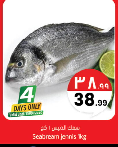 available at City Flower in KSA, Saudi Arabia, Saudi - Hail