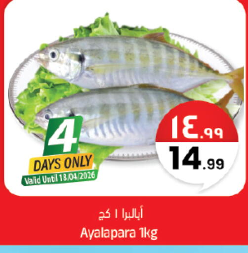 available at City Flower in KSA, Saudi Arabia, Saudi - Sakaka