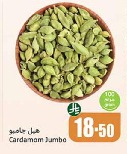 Cardamom available at Othaim Markets in KSA, Saudi Arabia, Saudi - Ta'if