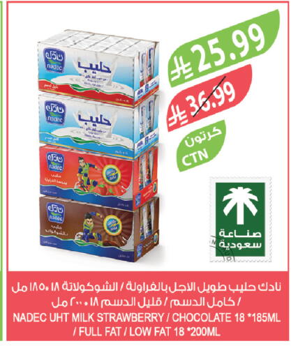 Strawberry available at المزرعة in مملكة العربية السعودية, السعودية, سعودية - القطيف‎