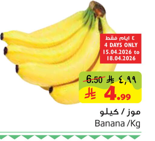 Banana available at ليان هايبر in مملكة العربية السعودية, السعودية, سعودية - المنطقة الشرقية