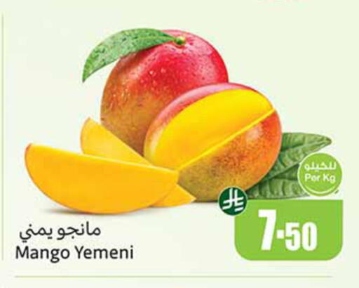 Mango from Yemen available at أسواق عبد الله العثيم in مملكة العربية السعودية, السعودية, سعودية - الخبر‎