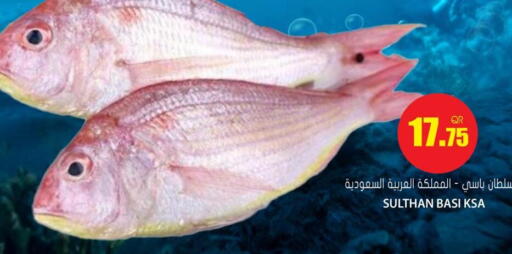 available at جراند هايبرماركت in قطر - الدوحة