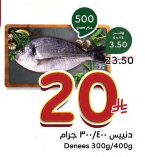 available at Hyper Panda in KSA, Saudi Arabia, Saudi - Mahayil