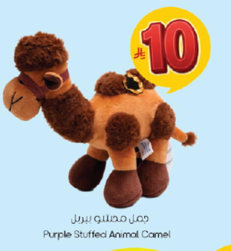 available at ستي فلاور in مملكة العربية السعودية, السعودية, سعودية - سكاكا