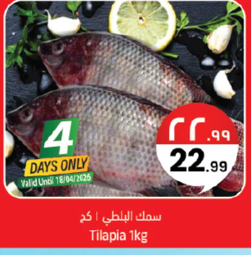 available at City Flower in KSA, Saudi Arabia, Saudi - Sakaka