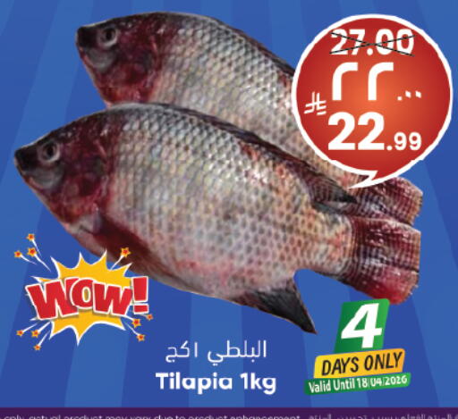 available at City Flower in KSA, Saudi Arabia, Saudi - Hail