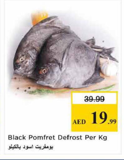 available at نستو هايبرماركت in الإمارات العربية المتحدة , الامارات - الشارقة / عجمان