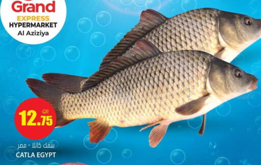 available at جراند هايبرماركت in قطر - الدوحة