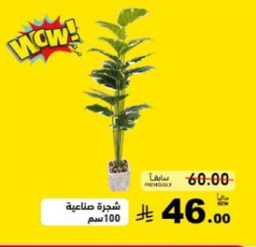 available at أسواق رامز in مملكة العربية السعودية, السعودية, سعودية - تبوك