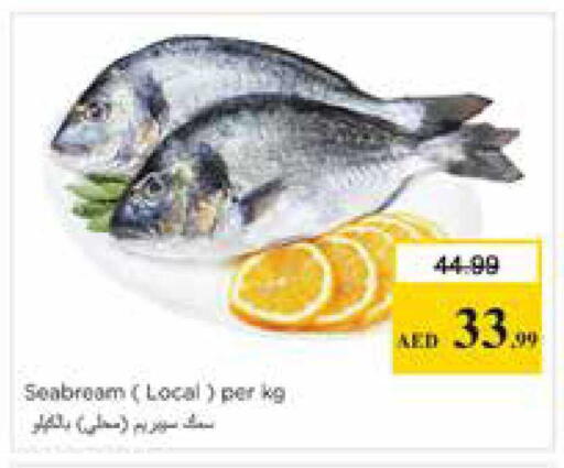 available at نستو هايبرماركت in الإمارات العربية المتحدة , الامارات - الشارقة / عجمان