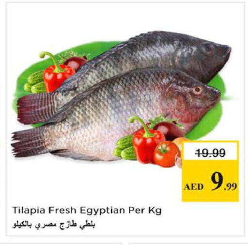 available at نستو هايبرماركت in الإمارات العربية المتحدة , الامارات - الشارقة / عجمان