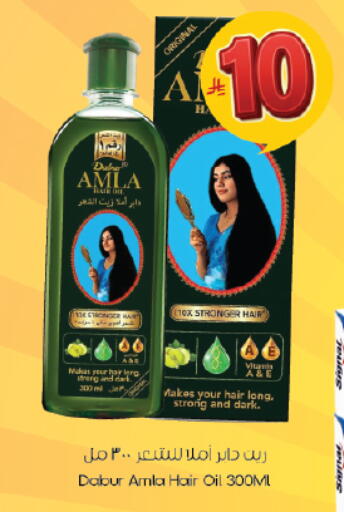 available at City Flower in KSA, Saudi Arabia, Saudi - Hail