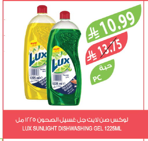 Lemon available at المزرعة in مملكة العربية السعودية, السعودية, سعودية - القطيف‎