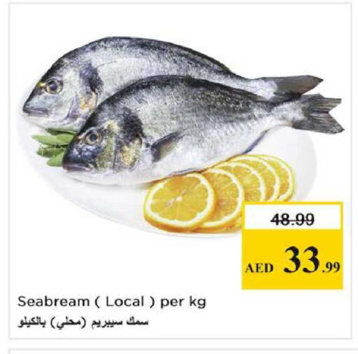 available at نستو هايبرماركت in الإمارات العربية المتحدة , الامارات - الشارقة / عجمان