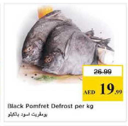 available at Nesto Hypermarket in UAE - Abu Dhabi