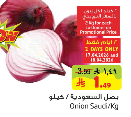 Onion from Saudi Arabia available at Layan Hyper in KSA, Saudi Arabia, Saudi - Dammam