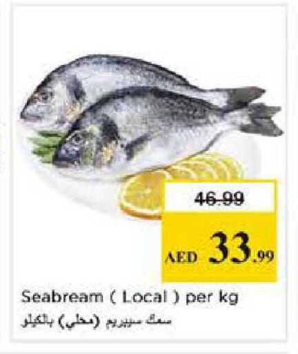 available at Nesto Hypermarket in UAE - Abu Dhabi