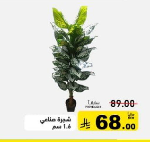 available at أسواق رامز in مملكة العربية السعودية, السعودية, سعودية - تبوك