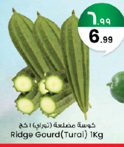 available at City Flower in KSA, Saudi Arabia, Saudi - Sakaka