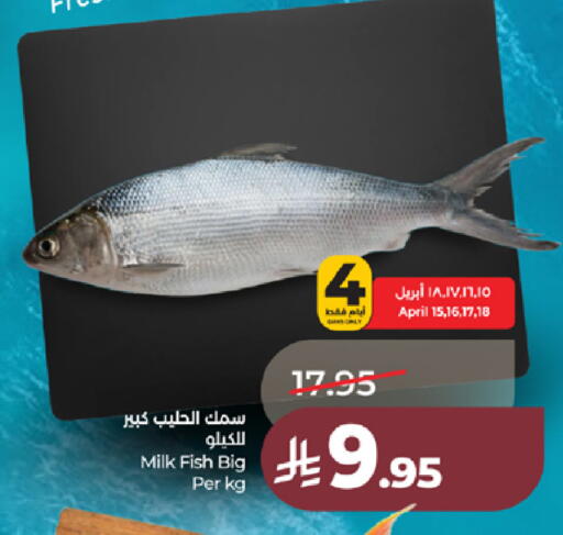 available at لولو هايبرماركت in مملكة العربية السعودية, السعودية, سعودية - جدة