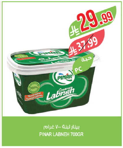 available at المزرعة in مملكة العربية السعودية, السعودية, سعودية - القطيف‎