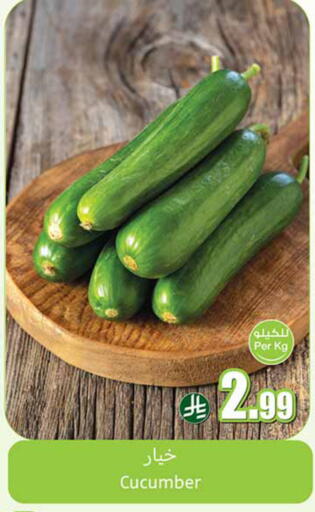 Cucumber available at Othaim Markets in KSA, Saudi Arabia, Saudi - Sakaka